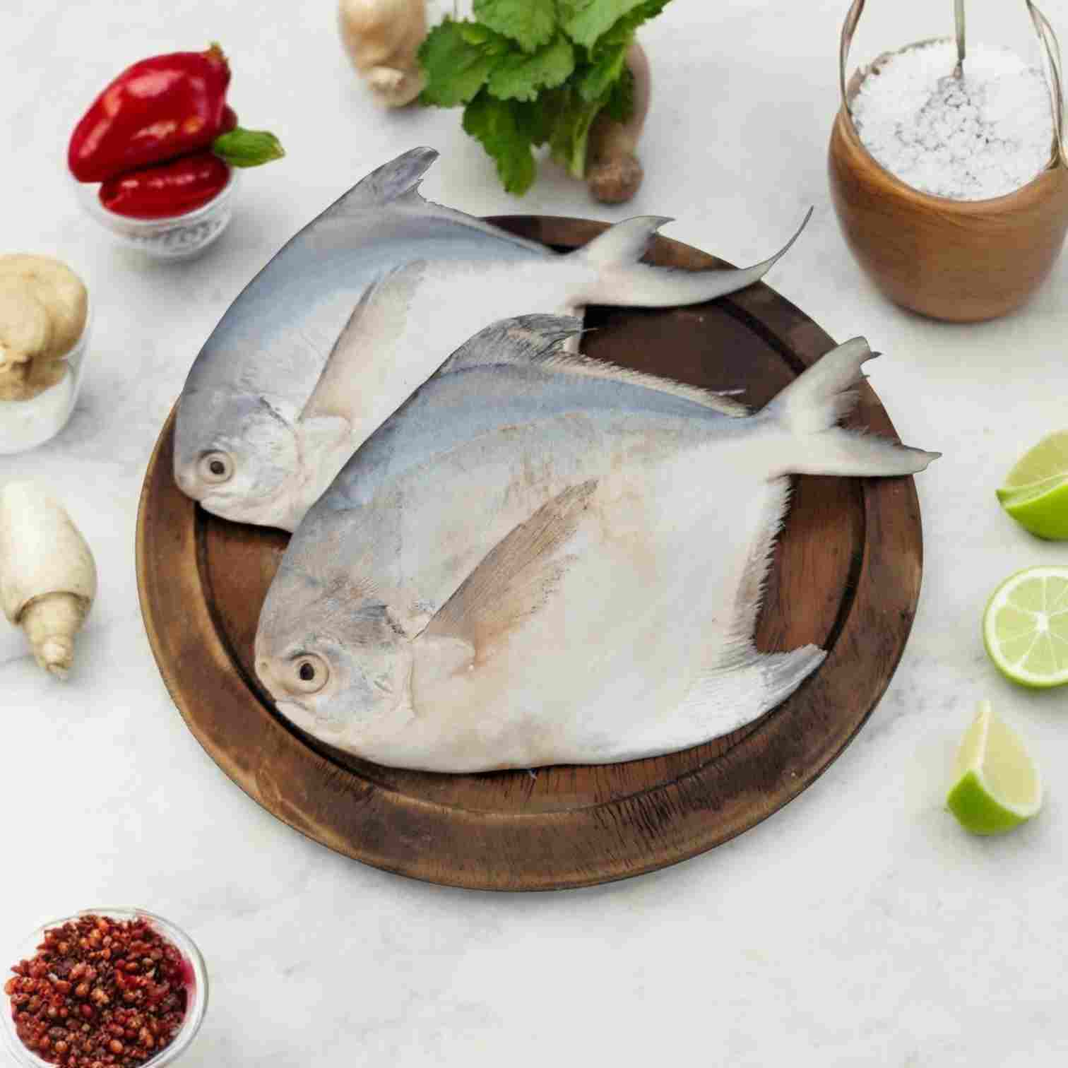 Pomfret Fish - Large Size